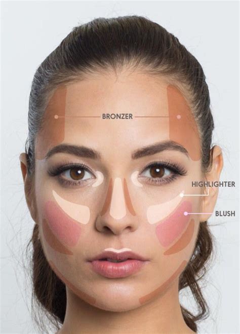 blush bronzer highlighter diagram